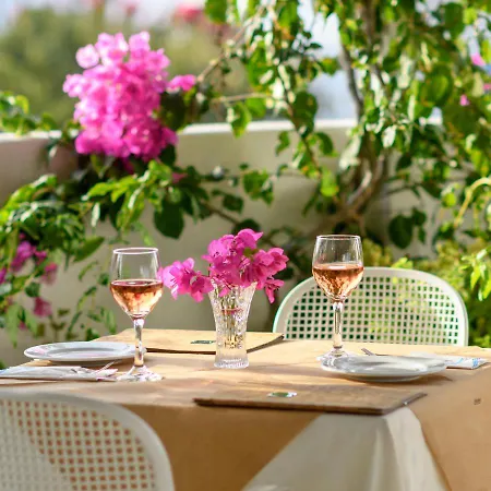 Lejlighedshotel Anemomilos